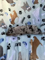 processed/c4e36716-89f0-4c47-ba05-c650dec672a0/listing/18d2a7bb-7e06-4e16-ad1d-3cf8a0765874/6a195b9f-cae5-4c66-a337-34f71321f294