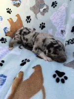 processed/c4e36716-89f0-4c47-ba05-c650dec672a0/listing/18d2a7bb-7e06-4e16-ad1d-3cf8a0765874/9787da4b-c7b3-4818-831c-262540c9f457