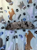 processed/c4e36716-89f0-4c47-ba05-c650dec672a0/listing/18d2a7bb-7e06-4e16-ad1d-3cf8a0765874/c7b939e9-e893-4b7f-83c5-bc13ea02ff70