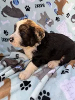 processed/c4e36716-89f0-4c47-ba05-c650dec672a0/listing/18fce6a4-82b9-488a-9454-3f03f1d125ad/22d70143-eb86-4c15-add6-3327f6c44cef