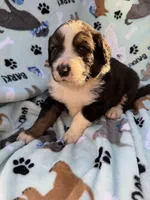 processed/c4e36716-89f0-4c47-ba05-c650dec672a0/listing/18fce6a4-82b9-488a-9454-3f03f1d125ad/3d3b20eb-0019-4ede-9c4b-5d963b7409e9