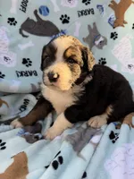 processed/c4e36716-89f0-4c47-ba05-c650dec672a0/listing/18fce6a4-82b9-488a-9454-3f03f1d125ad/8bc4be19-5c55-4d94-8338-a64087b974eb