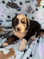 processed/c4e36716-89f0-4c47-ba05-c650dec672a0/listing/18fce6a4-82b9-488a-9454-3f03f1d125ad/d1c57e44-6e41-449c-8098-71f06725b608