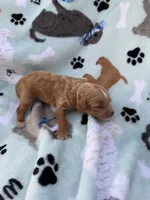 processed/c4e36716-89f0-4c47-ba05-c650dec672a0/listing/1f34a400-1b43-4100-a75f-862f3a8cbee3/3d716546-bb13-47bd-ab28-9ca6bd3b629d