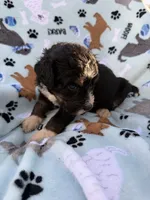 processed/c4e36716-89f0-4c47-ba05-c650dec672a0/listing/2505dafd-489e-4099-9fff-935237cedb7a/fa4cd01f-629a-4c30-b629-a581c55ca006