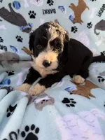 processed/c4e36716-89f0-4c47-ba05-c650dec672a0/listing/332e4de0-0074-463e-9b3a-25013f73f32b/1385ba04-632a-416f-8ab7-f2daf27f416a