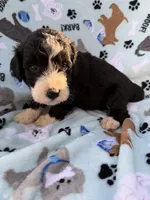 processed/c4e36716-89f0-4c47-ba05-c650dec672a0/listing/332e4de0-0074-463e-9b3a-25013f73f32b/c8aae388-5151-4e53-bed3-e53ff2d0fcca