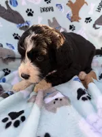 processed/c4e36716-89f0-4c47-ba05-c650dec672a0/listing/332e4de0-0074-463e-9b3a-25013f73f32b/e775e73f-631c-4cf0-abf6-0533be60f8a6