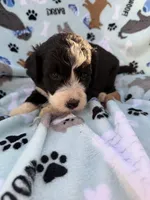 processed/c4e36716-89f0-4c47-ba05-c650dec672a0/listing/332e4de0-0074-463e-9b3a-25013f73f32b/fae448ab-c137-434b-8fa1-7a0368f8bafd