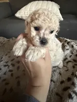 processed/c4e36716-89f0-4c47-ba05-c650dec672a0/listing/4b0be17e-4399-459b-880f-c7e70adcd9ad/9cc6f731-53e5-4839-8d81-1990bcab7abf