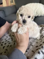 processed/c4e36716-89f0-4c47-ba05-c650dec672a0/listing/4b0be17e-4399-459b-880f-c7e70adcd9ad/d51b251d-3448-4097-b72a-bcb0e224205e