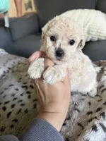 processed/c4e36716-89f0-4c47-ba05-c650dec672a0/listing/4b0be17e-4399-459b-880f-c7e70adcd9ad/ee85f43b-8109-4923-9f7c-d05756729621