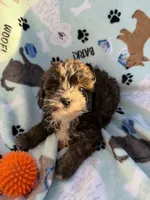 processed/c4e36716-89f0-4c47-ba05-c650dec672a0/listing/5d4200bf-8646-4746-aab1-e5a6906f8d41/e01c4380-4513-4164-9b36-44e045df581f