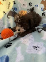 processed/c4e36716-89f0-4c47-ba05-c650dec672a0/listing/5d4200bf-8646-4746-aab1-e5a6906f8d41/fbb3b4c7-ef9b-405e-a53a-6e2cbd7b3972