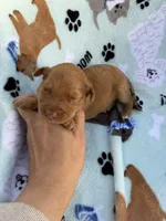 processed/c4e36716-89f0-4c47-ba05-c650dec672a0/listing/64bd7722-7091-4d8e-8cfe-f323b2d4bfea/17bfe582-1dfc-46b9-8237-328bc5f46dea