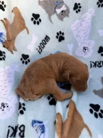 processed/c4e36716-89f0-4c47-ba05-c650dec672a0/listing/64bd7722-7091-4d8e-8cfe-f323b2d4bfea/31f2860d-3c87-45c6-8b65-aa2d867a92a2