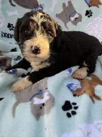 processed/c4e36716-89f0-4c47-ba05-c650dec672a0/listing/86a35c44-e3a1-42f6-b193-1af5b771ad6e/6c5503f1-f293-484c-be56-407e3215f19f