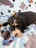 processed/c4e36716-89f0-4c47-ba05-c650dec672a0/listing/86a35c44-e3a1-42f6-b193-1af5b771ad6e/7d72694b-d613-4b45-a335-7651eeea11fc