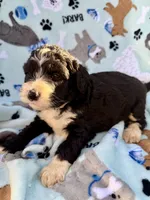 processed/c4e36716-89f0-4c47-ba05-c650dec672a0/listing/86a35c44-e3a1-42f6-b193-1af5b771ad6e/e56a5410-b3cb-473d-97f4-201a6c33ef2d