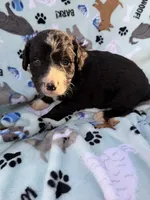 processed/c4e36716-89f0-4c47-ba05-c650dec672a0/listing/962a9a34-7307-4c33-8d64-45240acc6993/86e2eed7-d406-4458-a657-0fccaab2ebfa