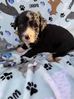 processed/c4e36716-89f0-4c47-ba05-c650dec672a0/listing/962a9a34-7307-4c33-8d64-45240acc6993/cdc089a0-a7fe-417e-8cae-752c61f3a7d0