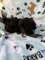 processed/c4e36716-89f0-4c47-ba05-c650dec672a0/listing/a71af2d8-7fd1-4349-a09a-5bbf66ffd4a9/5090c7a6-0632-4850-9b12-04f2c2a1b175