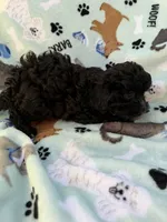 processed/c4e36716-89f0-4c47-ba05-c650dec672a0/listing/a71af2d8-7fd1-4349-a09a-5bbf66ffd4a9/a8d0af3c-35de-4d55-9c6a-60bb0b8d42d7