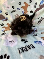 processed/c4e36716-89f0-4c47-ba05-c650dec672a0/listing/a71af2d8-7fd1-4349-a09a-5bbf66ffd4a9/e6d37b87-5537-4579-9ae1-d6229662696c