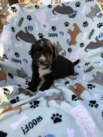 processed/c4e36716-89f0-4c47-ba05-c650dec672a0/listing/d2ef12e6-66ee-4b58-8c63-bbcd698084d0/36b2f9f6-89e2-4f20-b5a6-cbfe3ad95ee4