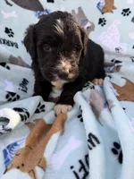 processed/c4e36716-89f0-4c47-ba05-c650dec672a0/listing/d2ef12e6-66ee-4b58-8c63-bbcd698084d0/41d9020b-10d8-4913-bc5b-4f5c4a656563