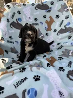 processed/c4e36716-89f0-4c47-ba05-c650dec672a0/listing/d2ef12e6-66ee-4b58-8c63-bbcd698084d0/cc49daa5-75b3-4a77-bdc8-474fbde7dbb2