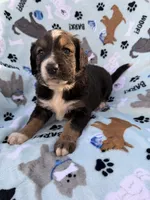 processed/c4e36716-89f0-4c47-ba05-c650dec672a0/listing/ee6fa4cb-a549-4f03-88d7-bb83aac3d15c/681177f4-ef82-4741-b62e-fb228ae1cbdb