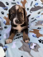 processed/c4e36716-89f0-4c47-ba05-c650dec672a0/listing/ee6fa4cb-a549-4f03-88d7-bb83aac3d15c/9acfd4ea-f8a2-45dd-9613-eb6b3bc5a2fb