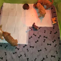 processed/c4e8f2e8-52d8-422d-a288-6cf4d1658983/facility/0cd8a557-9c42-45f6-a586-a9d254a36f93