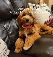 processed/c4e8f2e8-52d8-422d-a288-6cf4d1658983/facility/0e60b030-1d5a-42cf-b85c-e7b1595b4436