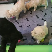 processed/c4e8f2e8-52d8-422d-a288-6cf4d1658983/facility/1ef52e85-1ae0-46dd-8e61-22ad807e1ef8