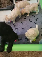 processed/c4e8f2e8-52d8-422d-a288-6cf4d1658983/facility/1ef52e85-1ae0-46dd-8e61-22ad807e1ef8