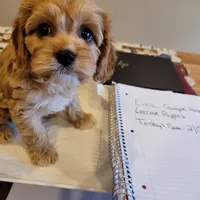 processed/c4e8f2e8-52d8-422d-a288-6cf4d1658983/facility/69c344f2-5644-46d3-92cd-4de0cb2d9346