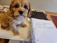 processed/c4e8f2e8-52d8-422d-a288-6cf4d1658983/facility/69c344f2-5644-46d3-92cd-4de0cb2d9346