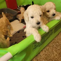 processed/c4e8f2e8-52d8-422d-a288-6cf4d1658983/facility/69edc8a9-52f9-4baf-8444-bf11ea59e0d4