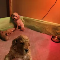 processed/c4e8f2e8-52d8-422d-a288-6cf4d1658983/facility/75589381-283e-4881-b041-c791ffe8b248