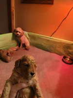 processed/c4e8f2e8-52d8-422d-a288-6cf4d1658983/facility/75589381-283e-4881-b041-c791ffe8b248