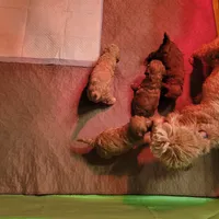 processed/c4e8f2e8-52d8-422d-a288-6cf4d1658983/facility/882363d8-6165-4dc3-82e9-facfe84b19f4