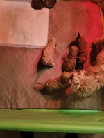 processed/c4e8f2e8-52d8-422d-a288-6cf4d1658983/facility/882363d8-6165-4dc3-82e9-facfe84b19f4