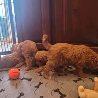 processed/c4e8f2e8-52d8-422d-a288-6cf4d1658983/facility/918fd8ef-46f6-48d6-b669-53d39a1fd260