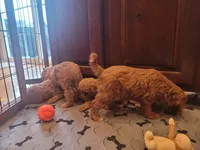 processed/c4e8f2e8-52d8-422d-a288-6cf4d1658983/facility/918fd8ef-46f6-48d6-b669-53d39a1fd260