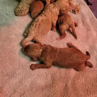 processed/c4e8f2e8-52d8-422d-a288-6cf4d1658983/facility/f9f35c22-682b-4ee3-9b4a-09898d2e3ae8