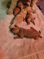 processed/c4e8f2e8-52d8-422d-a288-6cf4d1658983/facility/f9f35c22-682b-4ee3-9b4a-09898d2e3ae8