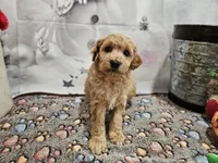 processed/c4e8f2e8-52d8-422d-a288-6cf4d1658983/listing/80f47c57-6536-4a7d-acfd-8d2264e7f4f8/6c604282-6b2c-4e7b-83f0-3106394eee27