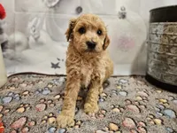 processed/c4e8f2e8-52d8-422d-a288-6cf4d1658983/listing/80f47c57-6536-4a7d-acfd-8d2264e7f4f8/71963a03-069f-4bde-a299-ec03baef6554